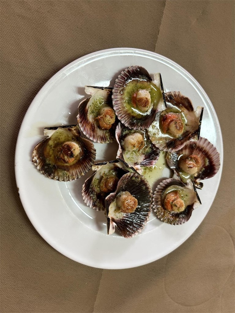 Vieira del pacifico - Imagen 1